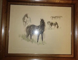 Framed Jandro Drawing Of Horses - Picture 1 of 1