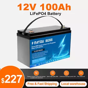 12V 100Ah LiFePO4 Lithium Iron Phosphate Battery Rechargeable Camping RV - Picture 1 of 14
