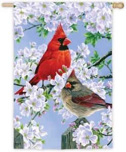 **OPEN FLAG** Glorious Morning Cardinals Evergreen SUEDE HOUSE Flag 28” x 44” - Picture 1 of 1