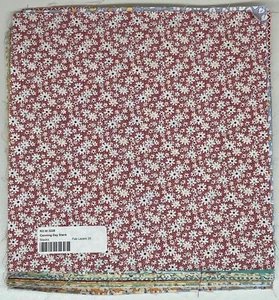 Connecting Threads 26 Layer Cake 10" Fabric Squares Canning Day 2010 Cotton - Picture 1 of 5