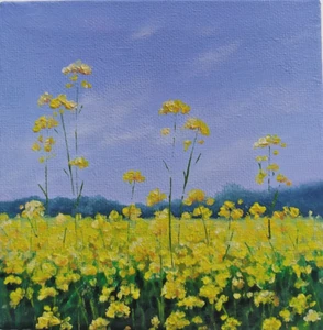 Landscape art. painting on canvas with stretcher 5/5 in. small art. rape field. - Picture 1 of 8