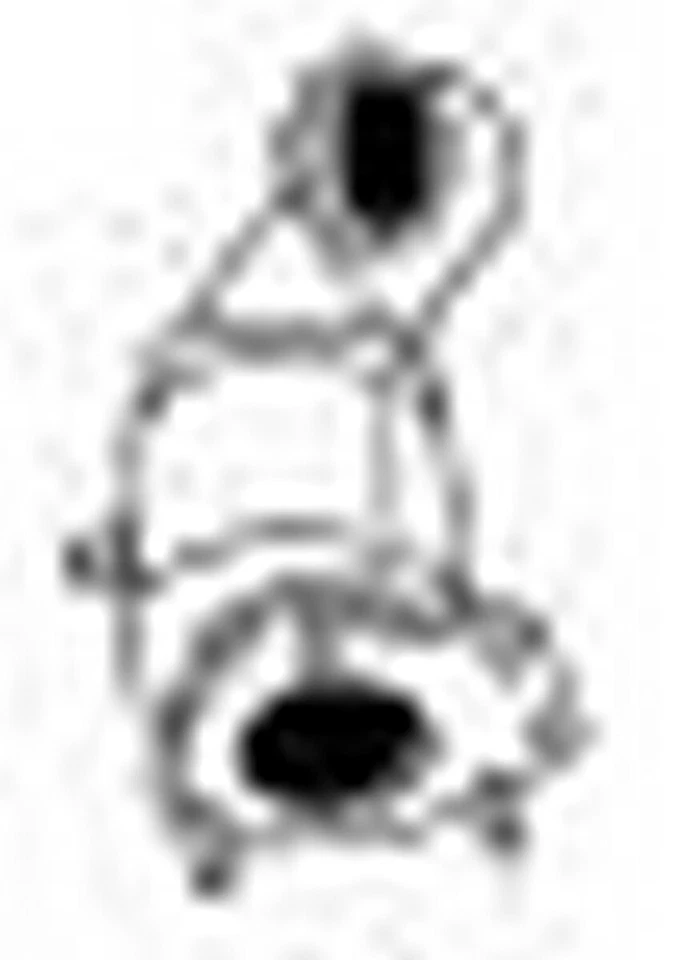 100 cv Catalizzatore per Opel Vectra C Z02 1.9 CDTi 1910 cc 74 KW 100 CV - Immagine 1 di 1