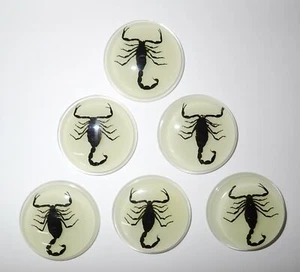 Insect Cabochon Black Scorpion 38.5 mm Round inner 35 mm Glow 18 pieces Lot - Picture 1 of 12