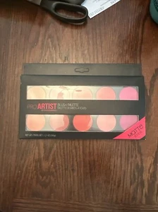 Pro Artist By Style Essentials Blush Palette Matte Edition - Picture 1 of 2