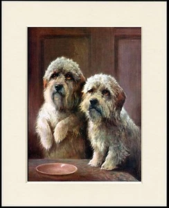 DANDIE DINMONT TERRIER HUNDE BEZAUBERNDER HUNDEDRUCK RAHMENFERTIG MONTIERT - Bild 1 von 1