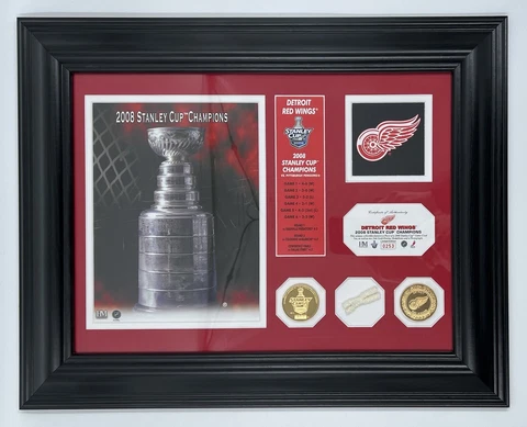 Detroit Red Wings 2008 Stanley Cup Champions Plaque #0253 Gold Coins/Game Net Cover