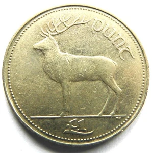 Irish Pre Euro £1 Punt Pound Coin 1994 XF Grade Stag Elk Deer Harp Ireland EIRE - Picture 1 of 2