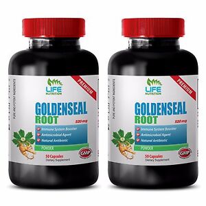 antioxidant all in one - GOLDENSEAL ROOT 520MG 2B - goldenseal standard process
