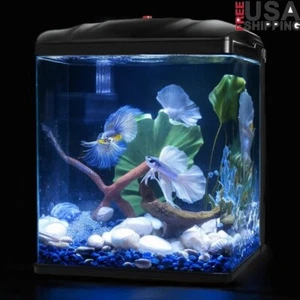 2 Gallon Glass Aquarium Self Cleaning Fish Tank Kit Betta Goldfish Tropical Fish - Picture 1 of 10