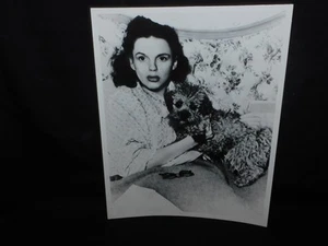 PHOTO VINTAGE DE FILM JUDY GUIRLAND AVEC CHIEN. - LOT 87 - Photo 1/2