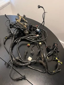 2002-2006 Ducati Monster 620 Main Wiring Harness - Picture 1 of 2