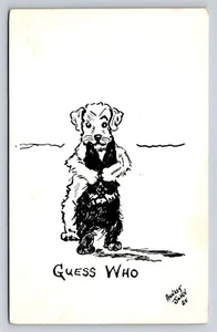 Postal de cómic firmada por artista honesto John Adivina quién perro cubre los ojos humor antiguo - Imagen 1 de 4