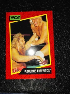 1991 Impel WCW - Michael Hayes, Jimmy Garvin, Fabulous Freebirds #117 (RC) - Bild 1 von 2