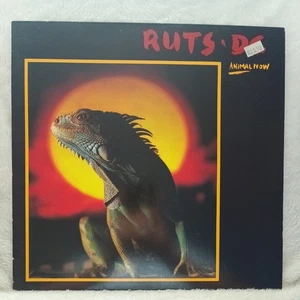Ruts DC Animal Now Virgin Vinyl LP - Bild 1 von 2