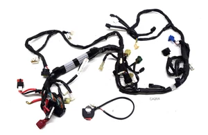 Yamaha YZF R6 RJ11 Yec Kit Racing 06-07 Cable Loom Engine Race Wiring Harness - Picture 1 of 9