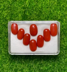 31.07CT Amazing 100% Natural Red Coral - Picture 1 of 4