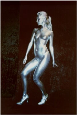 Full Body Body Painting Colour Powder Silver Very Effective With Instructions 100 gr. - Image 1 of 4