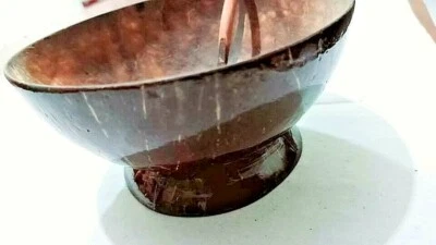 Tazas de gelatina de helado de postre con cáscara de coco con cuchara de madera hechas a mano nuevas Foto 1 de 4