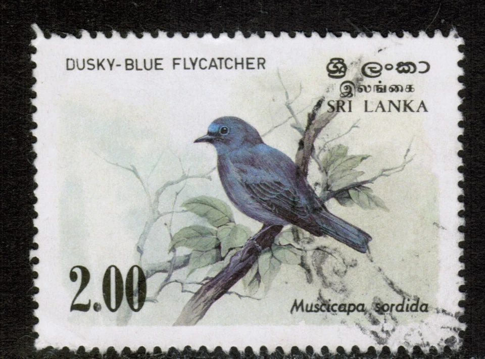 Ceylon Sri Lanka 1983-88 SG829 2r  Birds Dusky Blue Flycatcher Used - Image 1 of 1