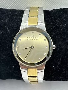 Skagen SKW2090 Women's Two Tone Stainless Steel Analog Dial Quartz Watch JNA996 - Picture 1 of 11