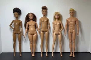 Barbie Hybrid Nude Dolls, Set Of 5, MTM Heads Fashionista Bodies Lot A - Picture 1 of 13