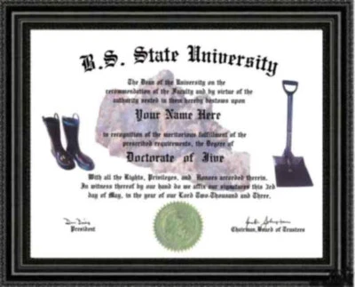 B.S. State Univ JIVE Doctorate Diploma / Degree Custom made and Designed for YOU - Image 1 of 2