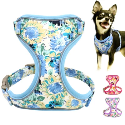Floral Mesh Pet Dog Harness Safety Reflective Walking Vest for Small Medium Dogs - Image 1 of 4