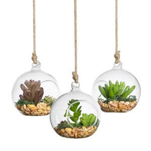 4PCS hanging glass flower planter Hanging Glass Terrarium Globe Ball Air Plant - Picture 1 of 44