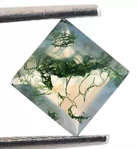 Tree Moss Agate 1.20 Ct. Square Shape Green Loose Wholesale Gemstone 7X7X4 mm - Picture 1 of 6
