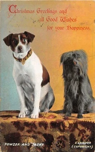 POSTCARD DOGS - TOWZER AND JACKY - XMAS GREETINGS - Picture 1 of 2