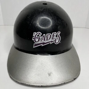 Vintage Hudson Valley Renegades Plastic Souvenir Helmet Laich Yankees Affiliate - Picture 1 of 7