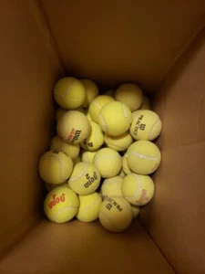 100 Used Tennis Balls Various Brands Great for DOGS - Picture 1 of 6