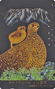Télécarte JAPON LAQUE & OR OISEAU LAGOPEDE GROUSE BIRD JAPAN LACQUER & GOLD pc - Imagen 1 de 1