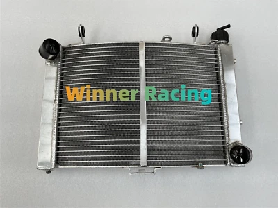 Подходит для 1090/1190 Adventure R; 1290 Super Adventure 2014 - 2020 18 алюминиевый радиатор - Изображение 1 из 4