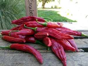 Aji Leiterplatte - Bild 1 von 3