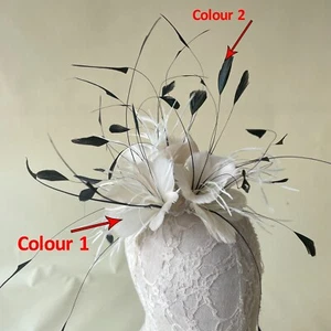 Gans Und Coque Feder Gedrehter Montur Hut Fascinator Kostüm Kunstshow - Bild 1 von 85