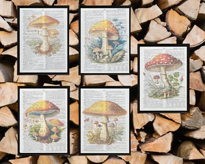 Pilz Thema Wörterbuch Seite Kunstdrucke, 5er Set Cottagecore Stil Vintage Buch Seite - Bild 1 von 6