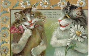 1908 Tuck "Humorous Cats" #122 Postcard M Boulanger Unsigned Courting Cats - Picture 1 of 2