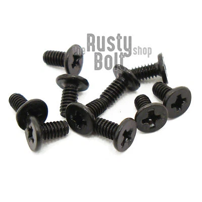 THE RUSTY BOLT SHOP M2 x 4mm, Phillips Wafer Flat Head Screws, Black, Computer, Laptop, Machine