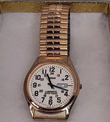 Мужские кварцевые часы Lorus золото нержавеющая сталь стрейч WR 24 часа день дата люмибрит - Изображение 1 из 4