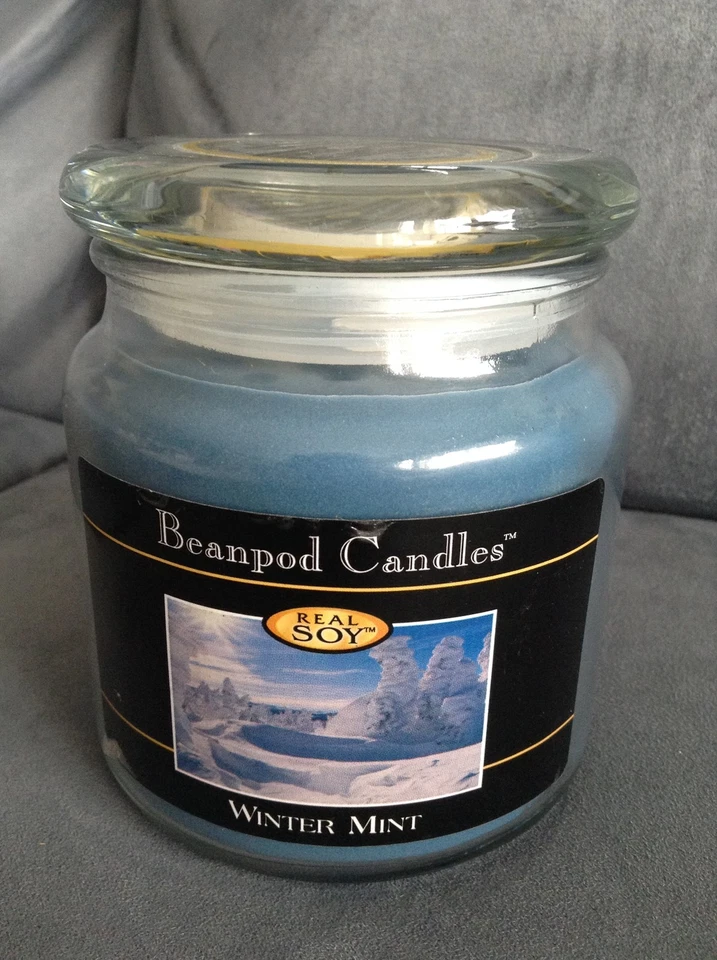 BEANPOD VELAS INVIERNO COMO NUEVO 16 OZ TARRO DE SOJA VELA - RARO - NUEVO Foto 1 de 1