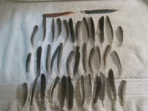 Mixed lot of Feathers 38 Fly Tying & Crafts - Picture 1 of 7