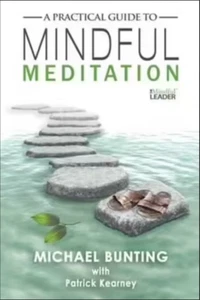 A Practical Guide to Mindful Meditation by Michael Bunting NEW mindfulness PB - Picture 1 of 1