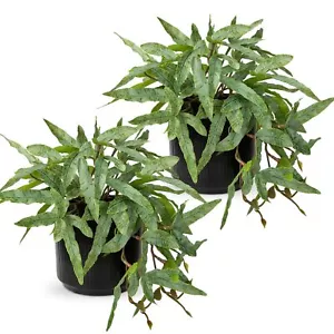 Faux Plants Indoor 9'' Artificial Potted House Plant with Black Ceramic Pot F... - Picture 1 of 6
