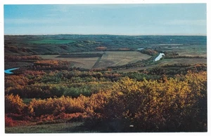 Battle River Valley Alberta Camrose County AB Swathed Grain Field Postcard - Bild 1 von 2