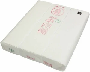 100 Sumie Xuan Papier Pinsel Malerei Kalligraphie glasiertes Papier Inshu Washi 35x136 - Bild 1 von 1