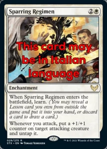 MTG SPARRING REGIMEN EXC - REGIME DI ALLENAMENTO - STX - MAGIC - Picture 1 of 1