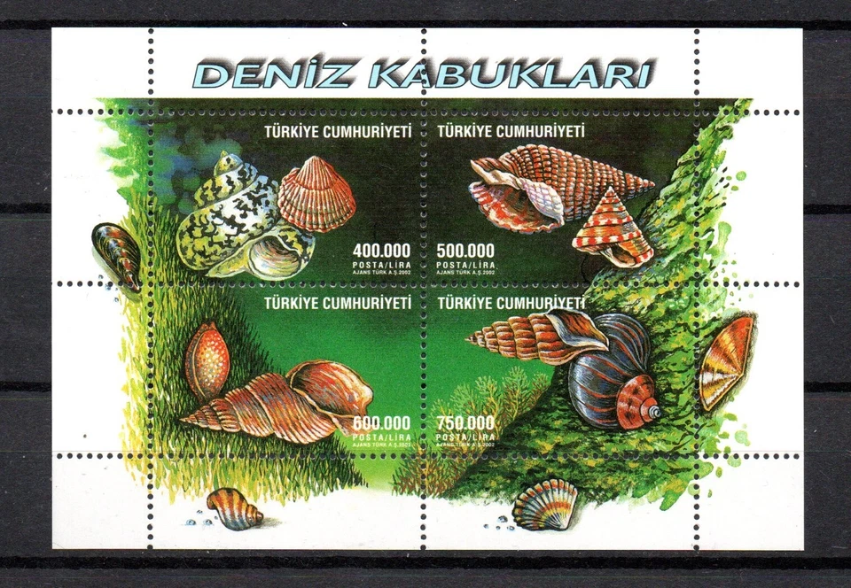 Hoja de sellos de Turquía 2002 vida marina/concha/caracoles (Michel Bl. 49) MNH Foto 1 de 1