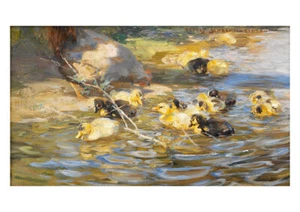 Rudolf Schramm Zittaus - Ducks - Picture 1 of 1