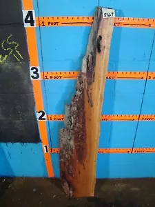 # 8167 spalted cherry live edge slab lumber rustic 51"L 9 1/2" W 2 7/16" T - Picture 1 of 4